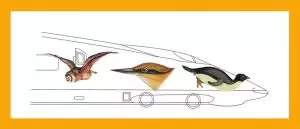Bullet train model